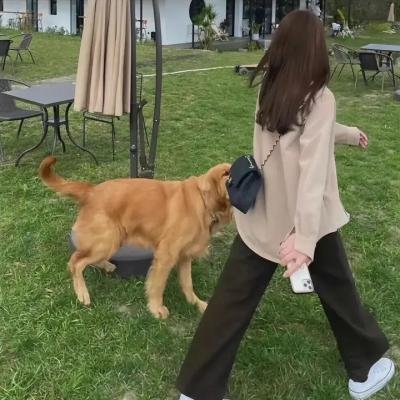 物超所值